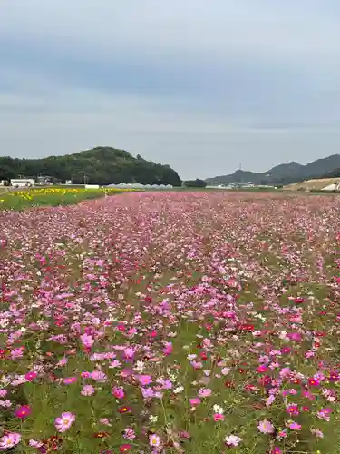 道通神社(岡山県)