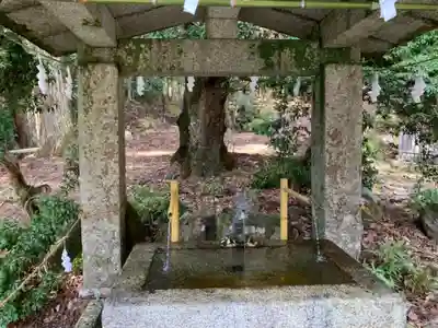 日吉大社の手水舎