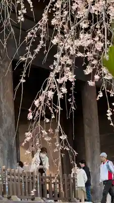 東郷寺(東京都)