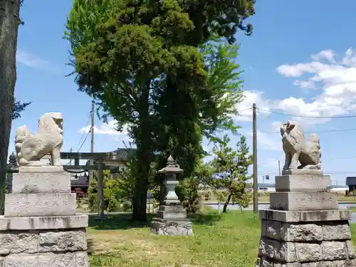 八幡宮の狛犬