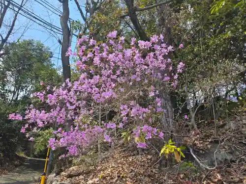 宝塚神社(兵庫県)