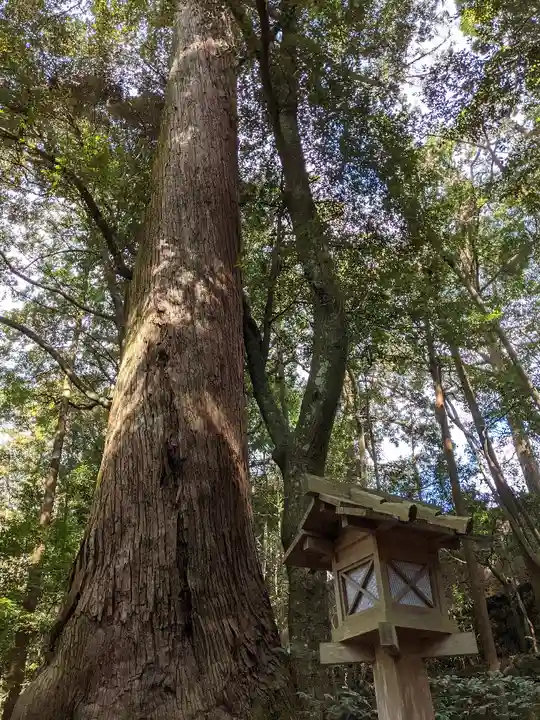 伊勢神宮内宮(皇大神宮)(三重県)