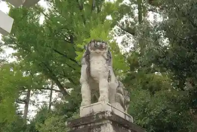 多賀大社の狛犬