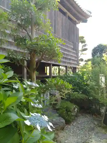 石薬師寺の自然