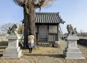 神明神社 (字小坪)の本殿・本堂