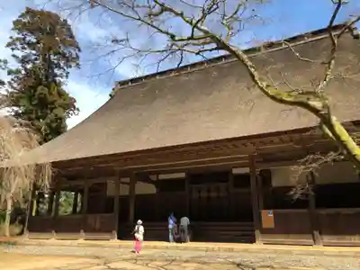 飯高寺の本殿・本堂