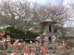 林渓寺(兵庫県)