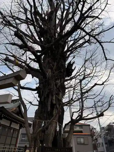 飛木稲荷神社の{uncategorized: "未分類", other: "その他", undefined: "問題あり", building: "その他建物", grave: "お墓", sacred_gate: "鳥居", guardian: "狛犬", statue: "像", buddha: "仏像", history: "歴史", nature: "自然", garden: "庭園", animal: "動物", pagoda: "塔", temizu: "手水舎", mountain_gate: "山門・神門", sanctuary: "本殿・本堂", subordinate: "末社・摂社", art: "芸術", scenery: "景色", jizo: "地蔵", ema: "絵馬", goshuin: "御朱印", omikuji: "おみくじ", items: "授与品その他", amulet: "お守り", goshuincho: "御朱印帳", eats: "食事", festival: "お祭り", votive_dance: "神楽", shichigosan: "七五三参", wedding: "結婚式", experience: "体験その他", initially: "初詣", around: "周辺", anti_infection: "感染症対策"}