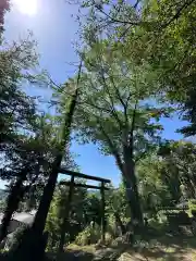 八坂神社(神奈川県)