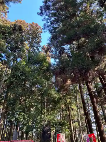 大宮温泉神社(栃木県)