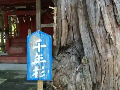 雲八幡宮の御朱印