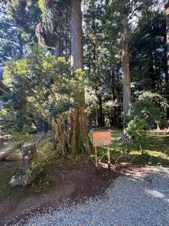 阿弥陀寺(和歌山県)