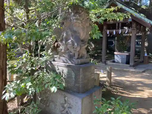 赤坂氷川神社の狛犬