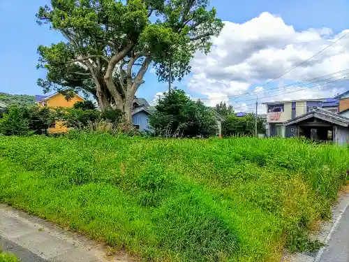 八面神社の自然