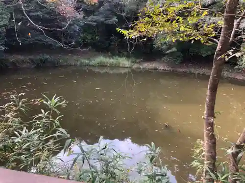 白兎神社の景色