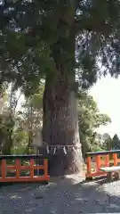 熊野那智神社(宮城県)