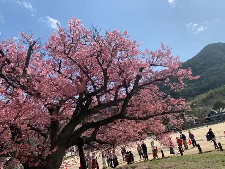 西福寺の手水舎