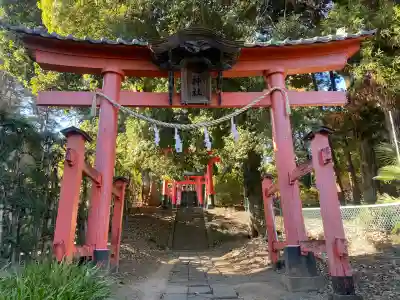 蓮神社(群馬県)