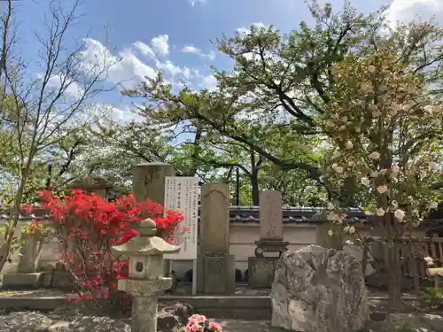 観音寺のお墓