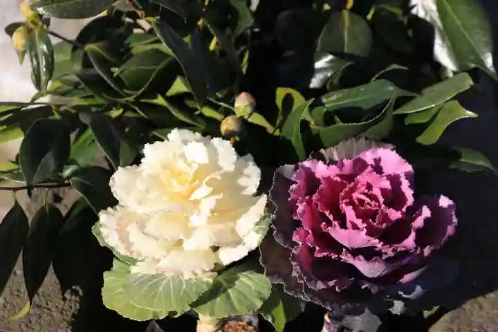 熊野福藏神社の手水舎