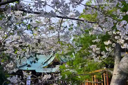 三嶋大社(静岡県)