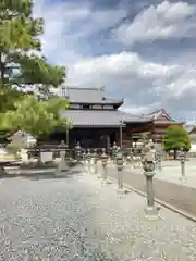 酒見寺の本殿