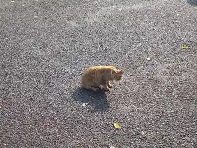 清水寺(福岡県)