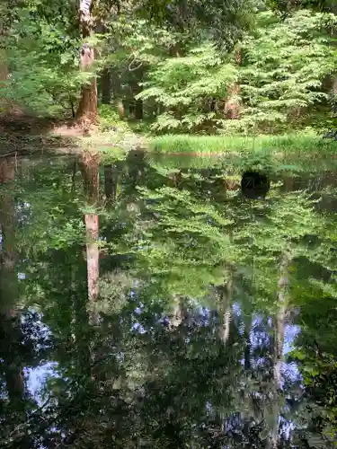 平泉寺白山神社(福井県)