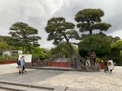 鶴岡八幡宮の庭園