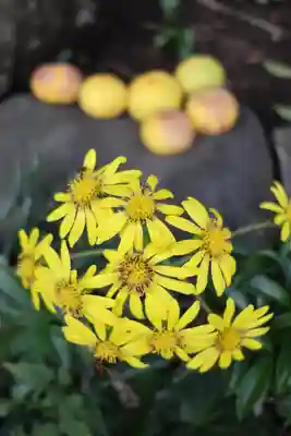 寿不動院(東京都)