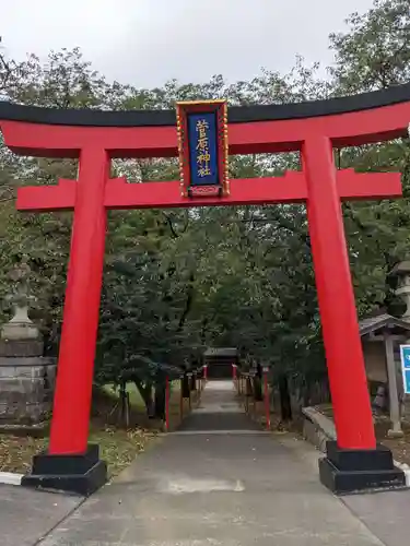 菅原神社の鳥居