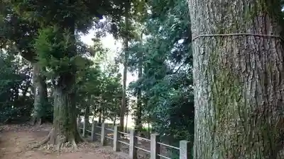 鶴峯八幡宮のその他建物