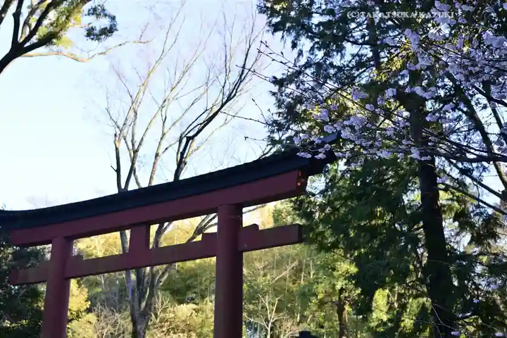 武蔵一宮氷川神社(埼玉県)