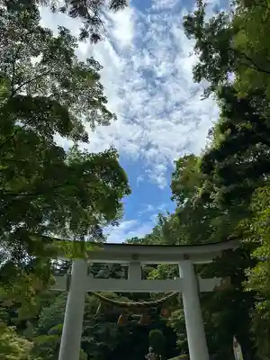 宝登山神社(埼玉県)