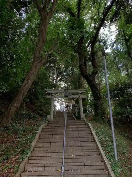 白幡神社の鳥居