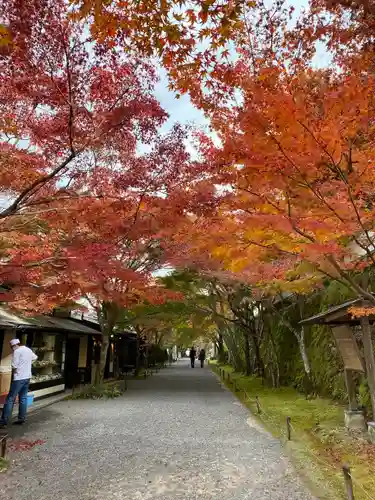三千院門跡(京都府)
