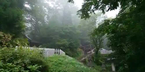 戸隠神社九頭龍社の景色