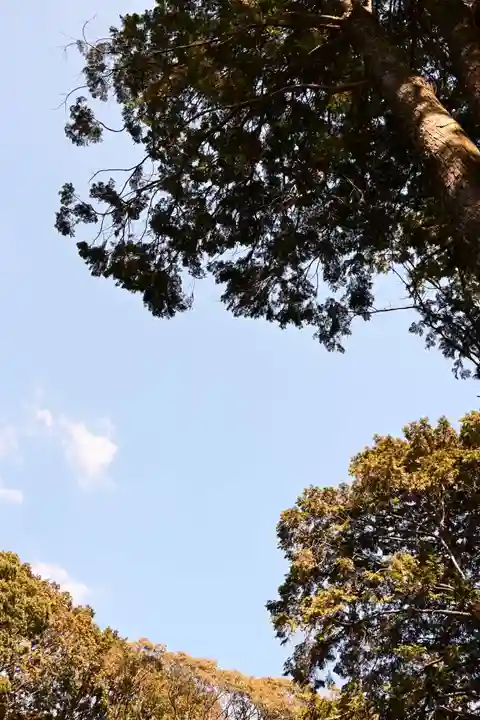 八桙神社(徳島県)