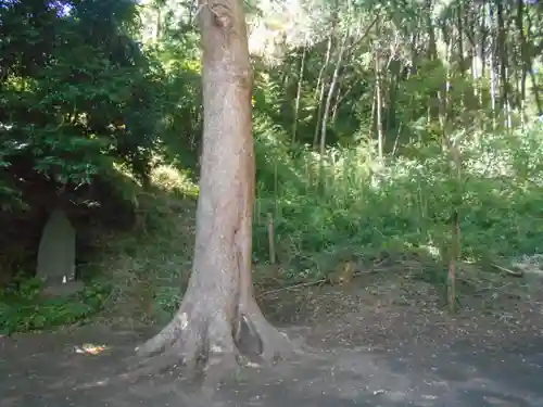 梶原御霊神社の周辺