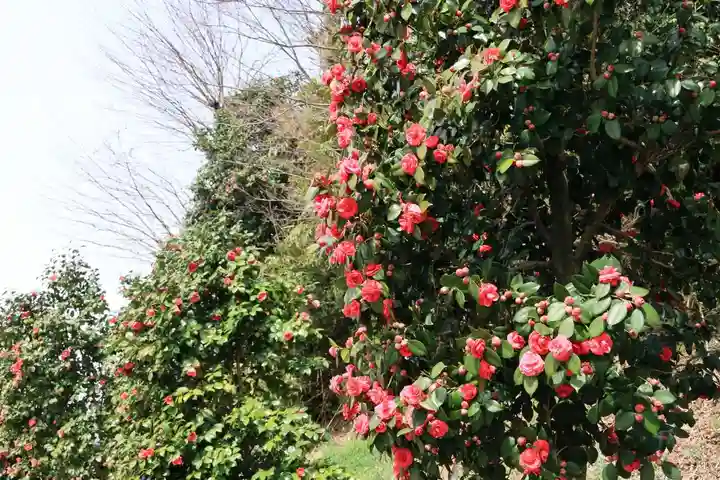 長屋神社の自然