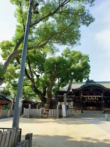 石切劔箭神社の本殿