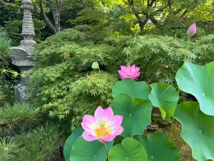 伊勢の国 四天王寺(三重県)