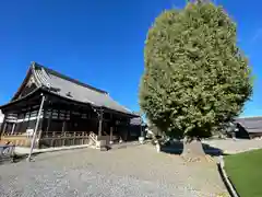 法蔵寺(滋賀県)