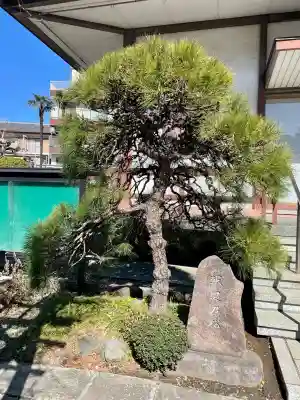 善仁寺(東京都)
