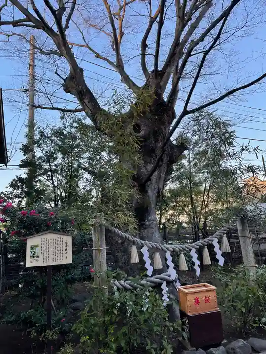溝口神社(神奈川県)