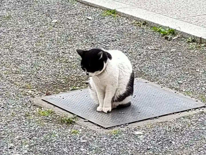 回向院(東京都)