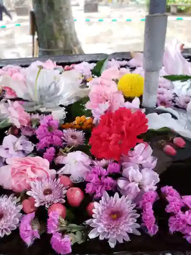 鳩森八幡神社の手水舎