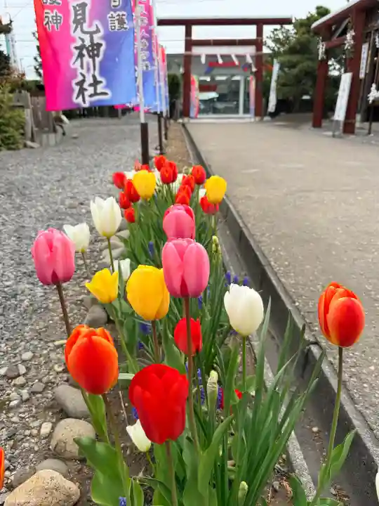 七重浜海津見神社の{uncategorized: "未分類", other: "その他", undefined: "問題あり", building: "その他建物", grave: "お墓", sacred_gate: "鳥居", guardian: "狛犬", statue: "像", buddha: "仏像", history: "歴史", nature: "自然", garden: "庭園", animal: "動物", pagoda: "塔", temizu: "手水舎", mountain_gate: "山門・神門", sanctuary: "本殿・本堂", subordinate: "末社・摂社", art: "芸術", scenery: "景色", jizo: "地蔵", ema: "絵馬", goshuin: "御朱印", omikuji: "おみくじ", items: "授与品その他", amulet: "お守り", goshuincho: "御朱印帳", eats: "食事", festival: "お祭り", votive_dance: "神楽", shichigosan: "七五三参", wedding: "結婚式", experience: "体験その他", initially: "初詣", around: "周辺", anti_infection: "感染症対策"}