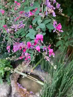 東光院(大阪府)