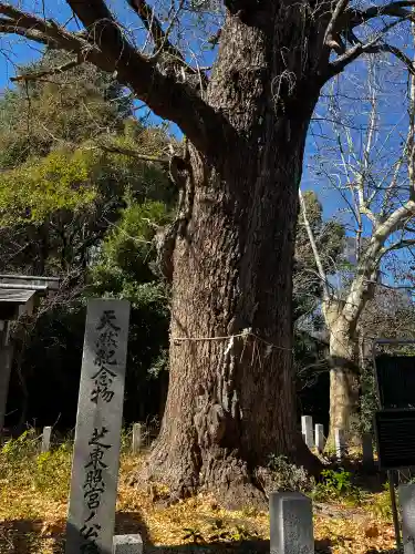 芝東照宮の{uncategorized: "未分類", other: "その他", undefined: "問題あり", building: "その他建物", grave: "お墓", sacred_gate: "鳥居", guardian: "狛犬", statue: "像", buddha: "仏像", history: "歴史", nature: "自然", garden: "庭園", animal: "動物", pagoda: "塔", temizu: "手水舎", mountain_gate: "山門・神門", sanctuary: "本殿・本堂", subordinate: "末社・摂社", art: "芸術", scenery: "景色", jizo: "地蔵", ema: "絵馬", goshuin: "御朱印", omikuji: "おみくじ", items: "授与品その他", amulet: "お守り", goshuincho: "御朱印帳", eats: "食事", festival: "お祭り", votive_dance: "神楽", shichigosan: "七五三参", wedding: "結婚式", experience: "体験その他", initially: "初詣", around: "周辺", anti_infection: "感染症対策"}